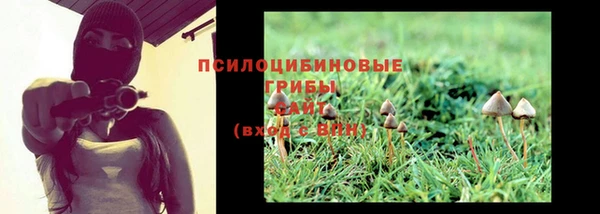 мдпв Липки