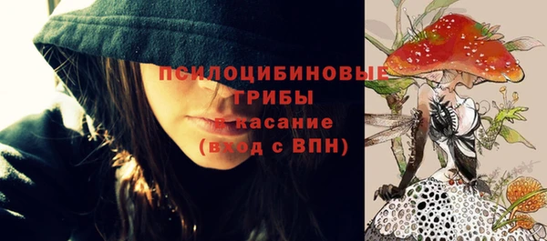 мдпв Липки