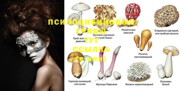 ешки Лиски