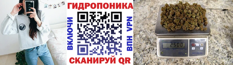 Марихуана OG Kush  купить наркотики сайты  Бикин 